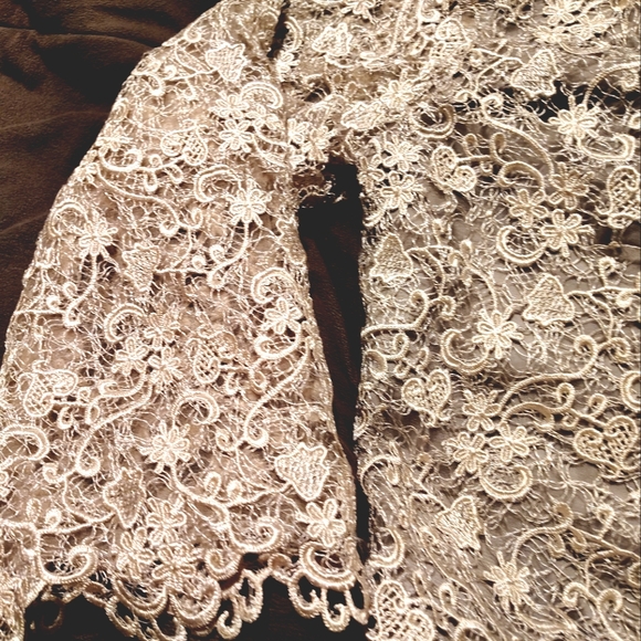 Polo Ralph Lauren Lace Long Sleeve Wedding Dress, Gray,Bell Sleeve,Knee Lngth,16 - Picture 13 of 16